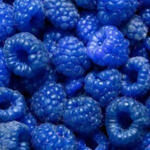 Profile photo of Blue